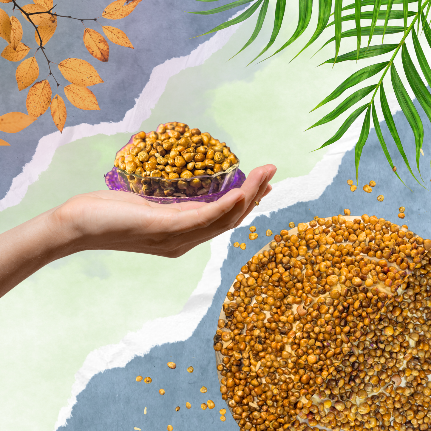 Krnche’s Bhunja – Roasted Corn 450gm