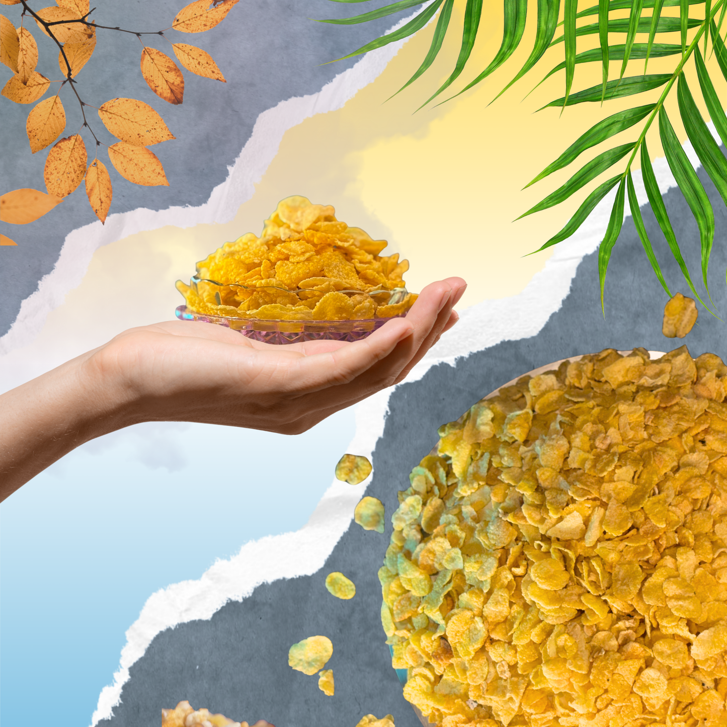Krnche’s Bhunja – Roasted Corn Flake 450gm